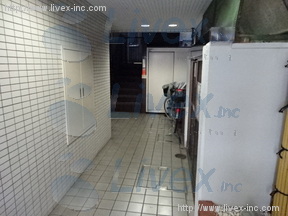 カテリーナ柳通り