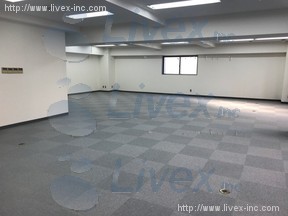 シャンヴィラカテリーナビル