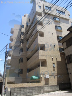 岩田第8