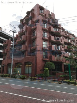 小石川安藤東方