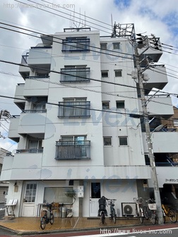 コーポサンフラワ