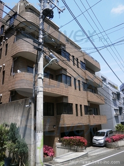 代官山Y