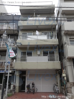 椿