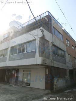 日藤