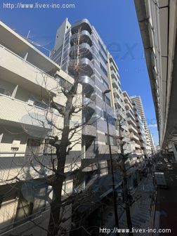 大幸