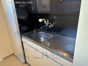 ザ・パークレックス新川