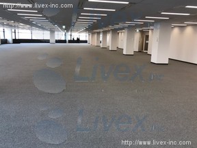 ゲートシティ大崎ウエストタワー