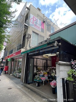 花盛