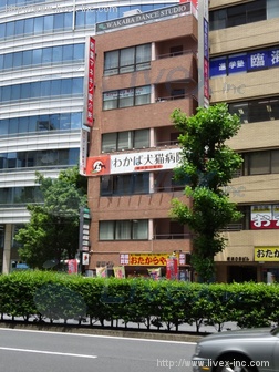 若葉