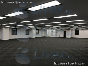 メトロシティ半蔵門(新半蔵門)