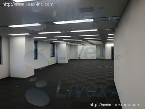 メトロシティ半蔵門(新半蔵門)