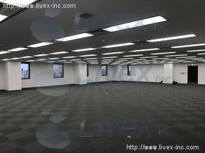 メトロシティ半蔵門(新半蔵門)