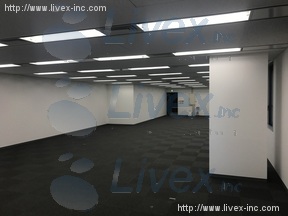 メトロシティ半蔵門(新半蔵門)