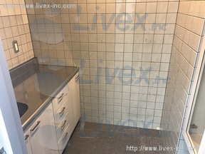 メトロシティ半蔵門(新半蔵門)