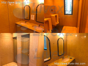 メトロシティ半蔵門(新半蔵門)