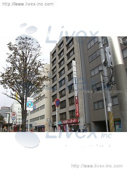司