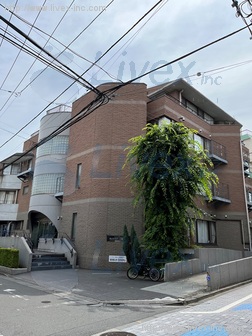 アルパインローズ