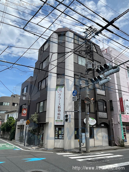 来栖