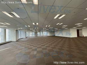 赤坂ガーデンシティ