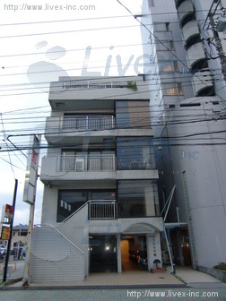 サンハイツ柏