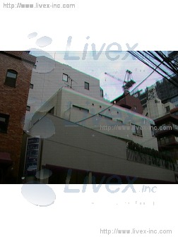 パレロワイヤル赤坂2