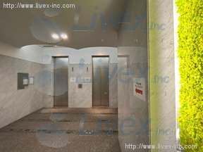 フロンティア麹町