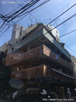 桂