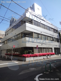 大新京