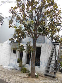 代官山ステラハウス