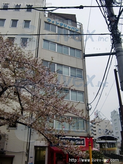 銀座里村