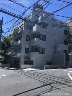 ノトス代官山