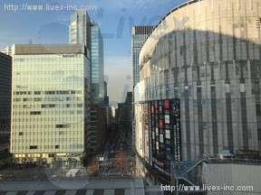 チョムチョム秋葉原