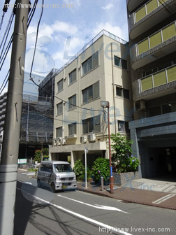 藤橋