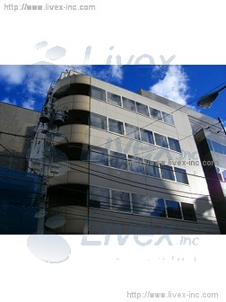 仮)東上野石川