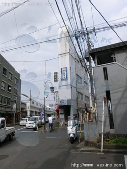 あすなろ
