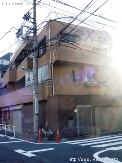 T邸
