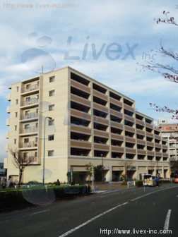 フェリズ南大沢