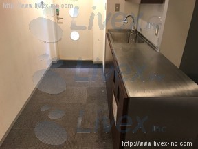 渋谷ファーストプレイスビル