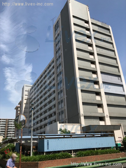 都営8号棟