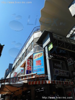 岸