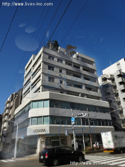 上原