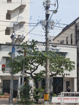 成瀬邸