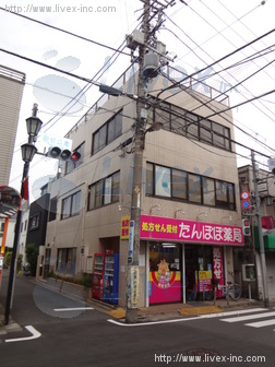 セイシン