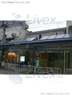 高橋のらくろードアップル