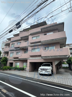 ドマーニ千早