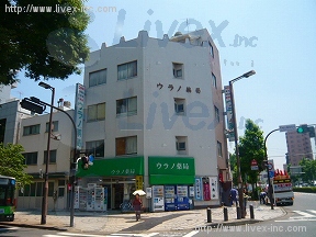 浦野
