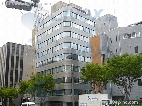 興和日東 
