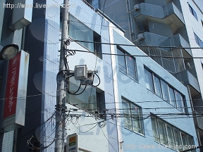 江戸川