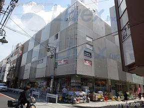 日能研
