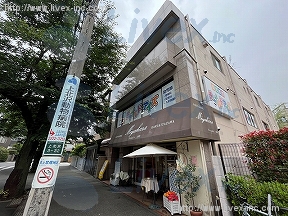 小川
